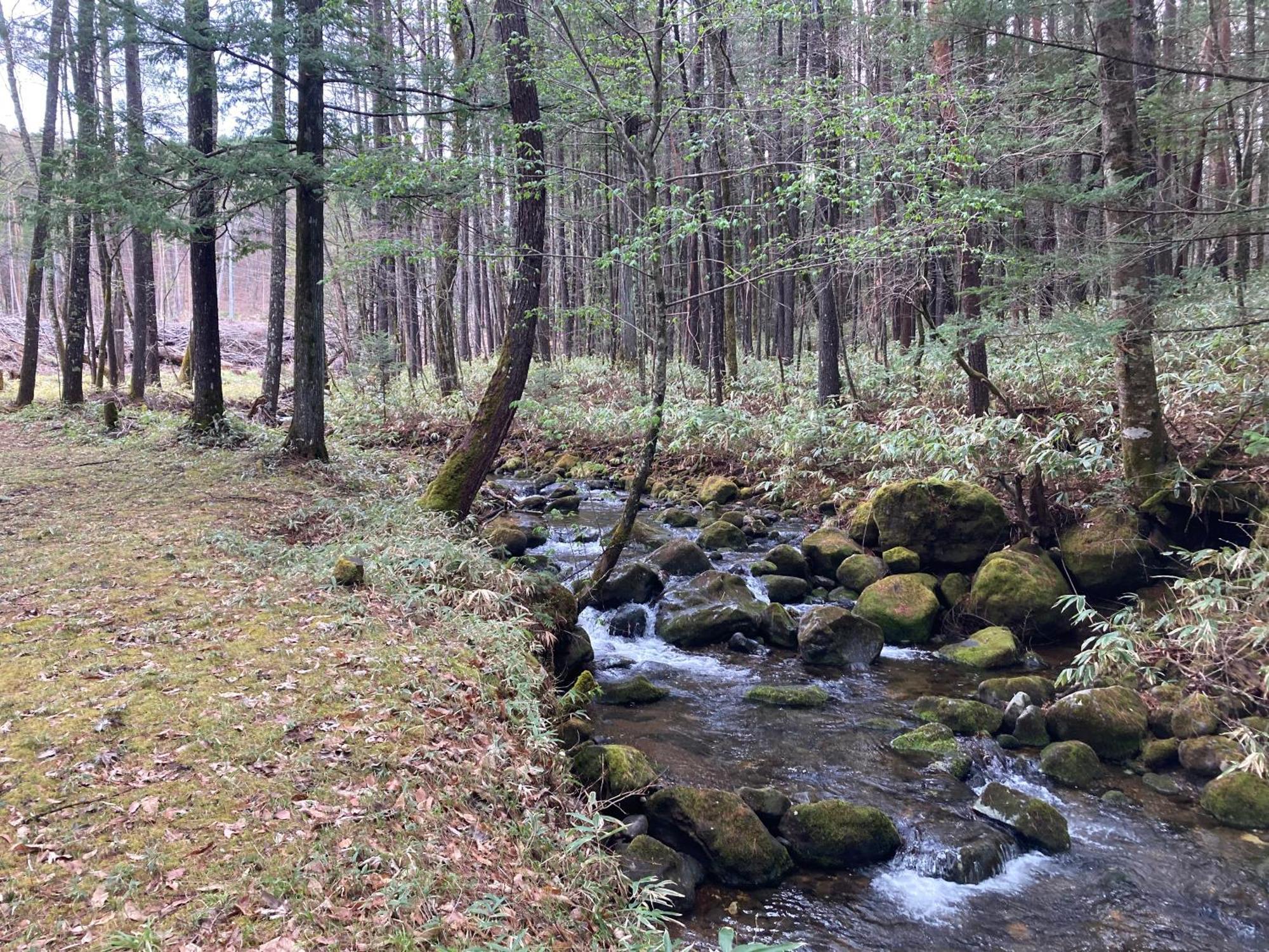 Lodge Jotenki Kiszo Kültér fotó